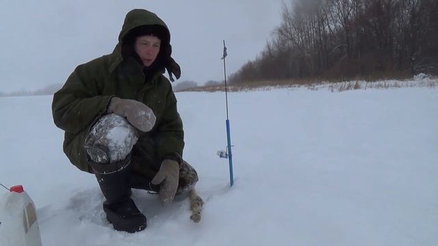 Больше рыбы нам смотреть онлайн