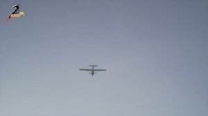 ПРОГУЛЯЛИСЬ НА САМОЛЁТЕ CESSNA 172 | ЭКСПЕРТНАЯ ОЦЕНКА