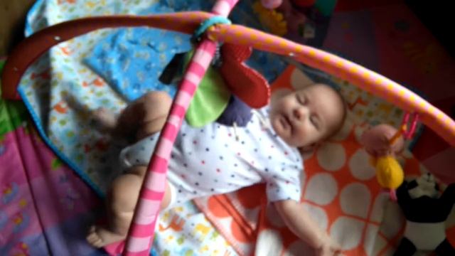 Кай и большая стрекоза