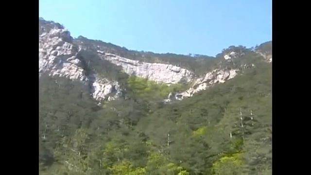 Прогулка по Боткинской тропе смотреть онлайн