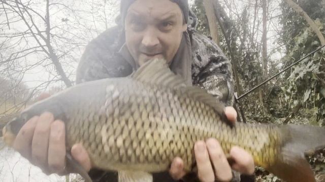 Ловля карпов в феврале на опарыша смотреть онлайн