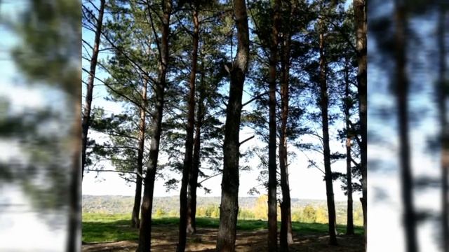 Прогулка в осеннем лесу. смотреть онлайн