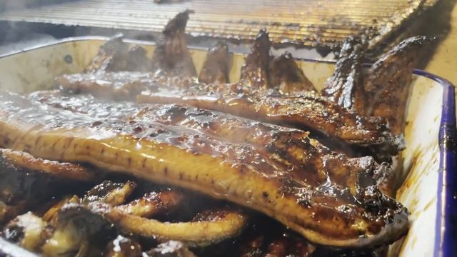 【Japanese Street Food  EEL】Day In The Life Of A Grilled Eel Masters. 創業160年!! うなぎ専門店「若松屋」ウナギの捌き方