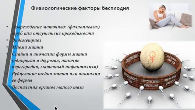 С. Карпова. Проблемы бесплодия в 21 веке. И пути решения.