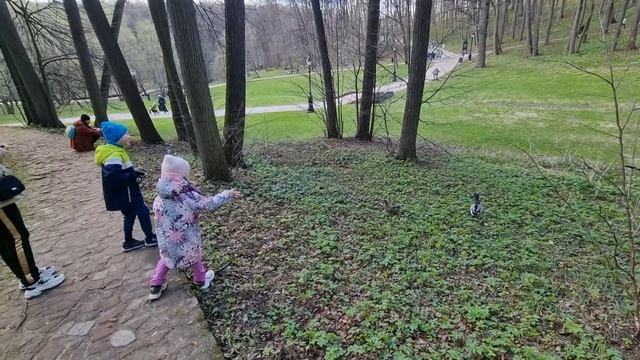 Царицыно, Москва. 01.05.2022 смотреть онлайн