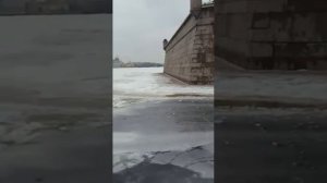 Серый Питер
