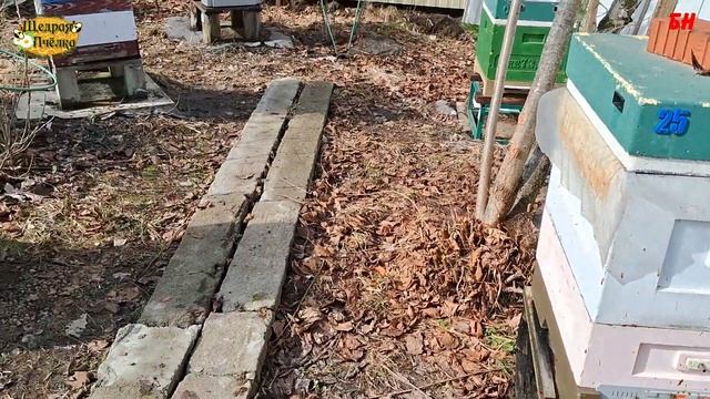 пчеловодство, пасека, подведем итог всей зимовки в целом. весенние работы смотреть онлайн