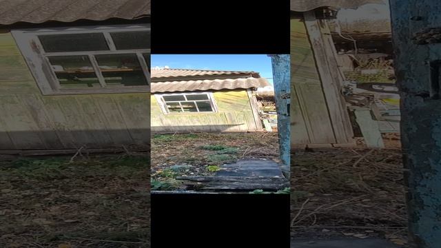 Продается дом в с. Новохуторное Красногвардейский р-н Белгородская обл. 250 тысяч. Тел 89100309077 смотреть онлайн