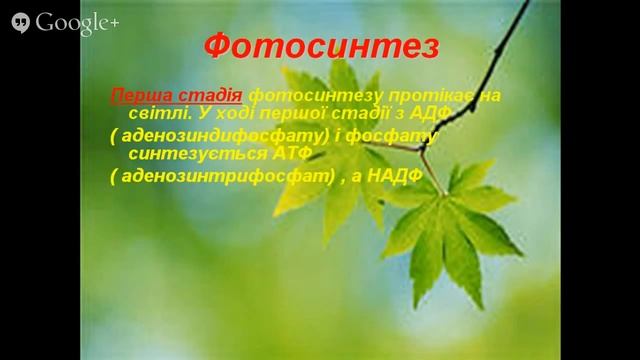 Фотосинтез смотреть онлайн