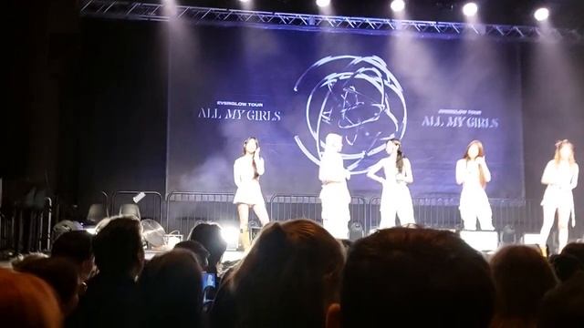 @EVERGLOWOFFICIAL Concert Berlin - Everglow Talking 3/6