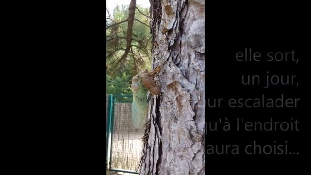 Gîte du GRAND TRAVERS : un emblème. Une énigme. смотреть онлайн