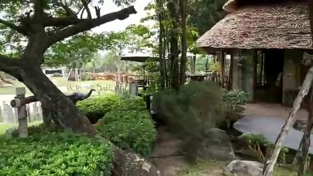 САФАРИ парк -ХуаХин