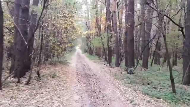 Неудачная рыбалка.   Горя рыбака🎣