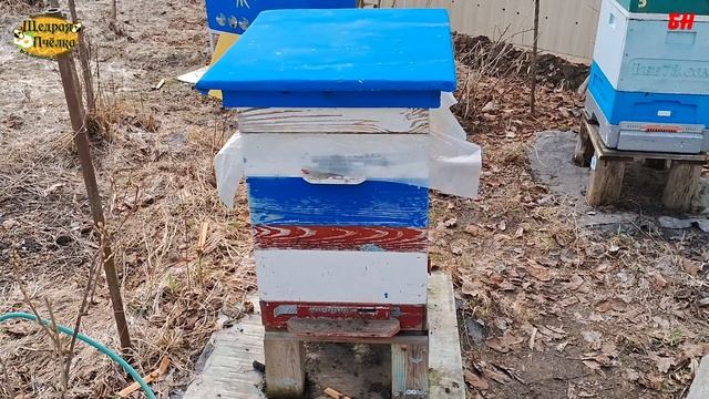 ПЧЕЛОВОДСТВО, верхняя вентиляция, нет раннего расплода нет проблем зимой смотреть онлайн