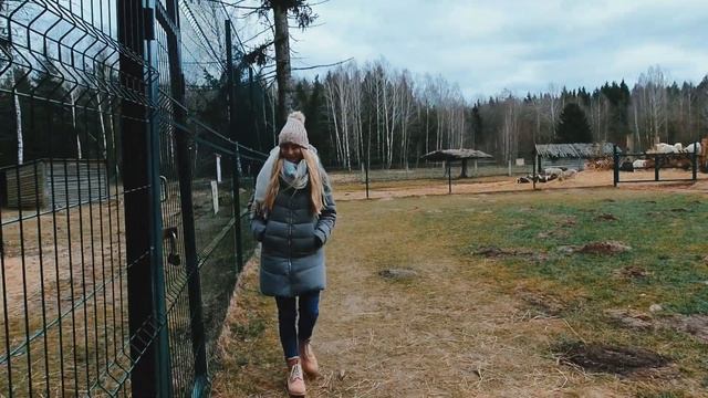 Беларусь 2020 смотреть онлайн