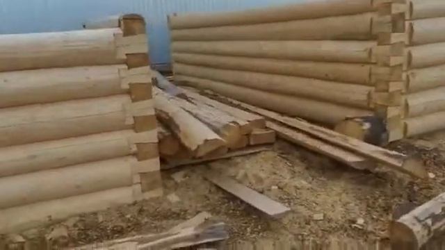 «Велижские срубы» сруб 5 на 3 метра, рубка в лапу смотреть онлайн