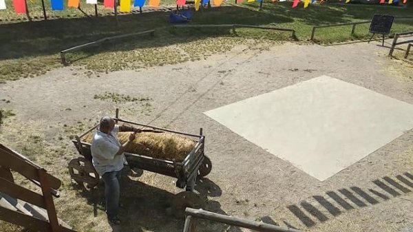 ОЛЕГ ГРИГОРЬЕВ. СТРЕЛЬБА ИЗ ЛУКА У 700 ЛЕТНЕГО ЗАПОРОЖСКОГО ДУБА