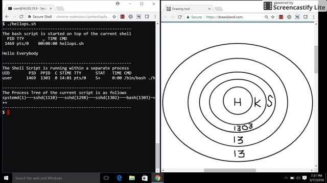What happens when we run a Shell Script ? смотреть онлайн