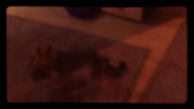 Я ловлю собаку смотреть онлайн