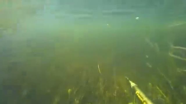VID 20181202 WA0001 смотреть онлайн