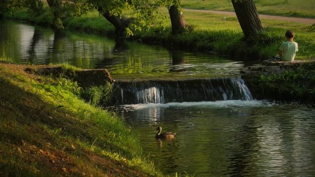 Санкт-Петербург | лето 2023 | фильм