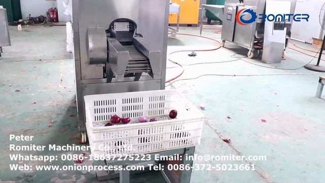 Automatic Onion Root Concave Cutting and Peeling Machine for Macedonia Customer смотреть онлайн