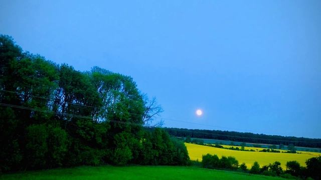 Jules Massenet- Meditation From Thais, Arr.for Cello And Piano