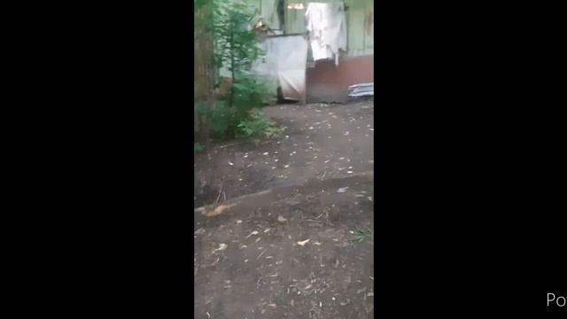 😱пришли в заброшеные дома😱 *там кого-то убили*