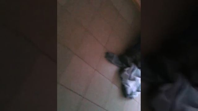 Прививка)) смотреть онлайн