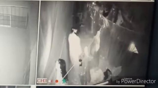 Квест.5 уровень смотреть онлайн