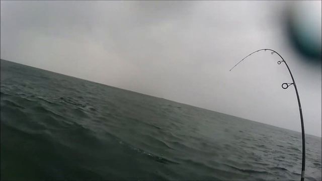 Salmo Freediver 9 for Red Seabream смотреть онлайн