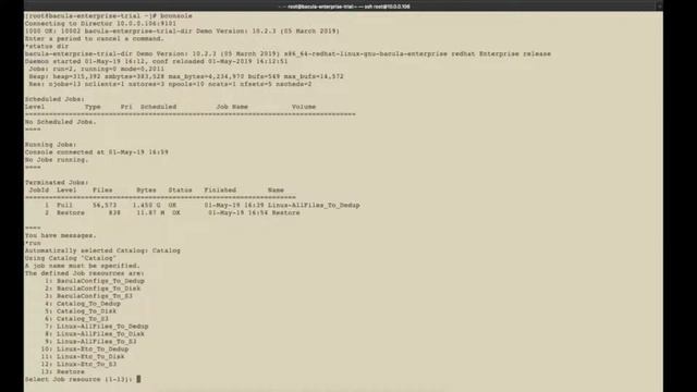 bacula trial scenario 3 run a backup job with bconsole fr смотреть онлайн