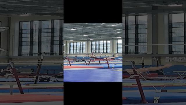 спортивная гимнастика