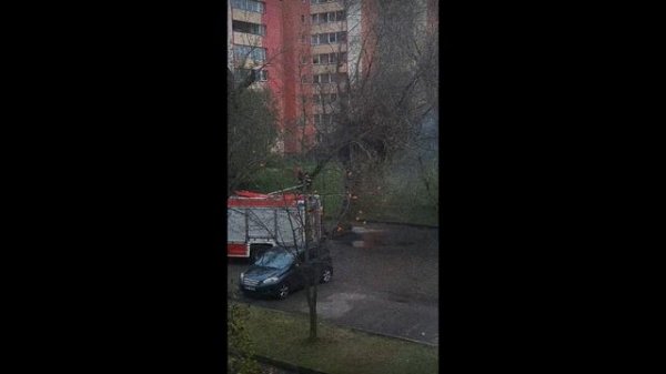 Начало | Дерево Горит Изнутри