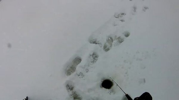 Ловля Окуня на Балансир!!!