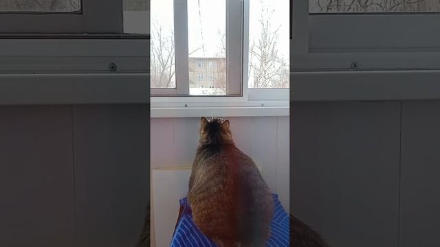 Хоть бы одну поймать!!!! смотреть онлайн