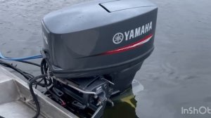 Обзор Yamaha 55 BEDS