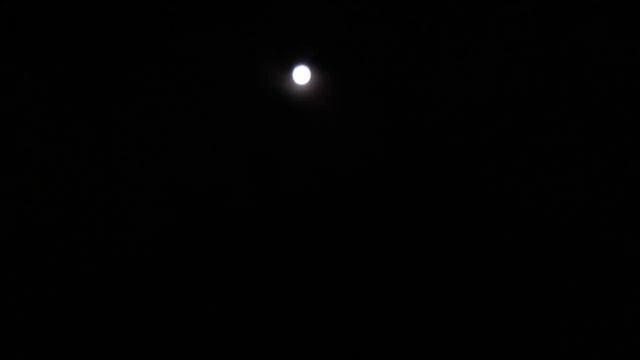 tapage nocturne du voisin.... смотреть онлайн