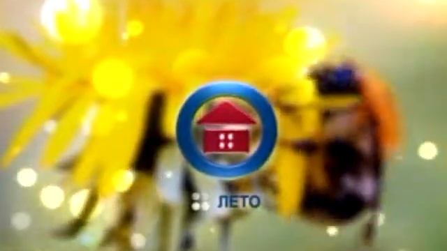 Фрагмент летней заставки (11 канал - ТРК "Наш дом", (г. Пенза), 2011-2012) Жук и одуванчик смотреть онлайн