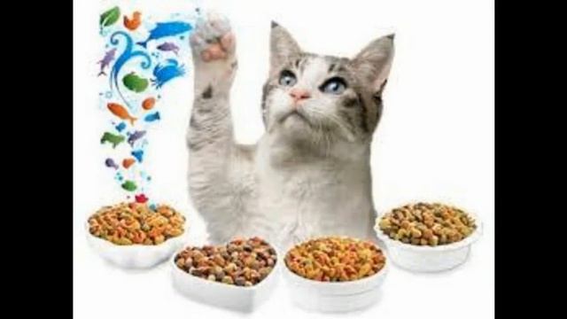 витамины с таурином для кошек смотреть онлайн