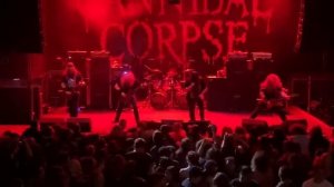 Cannibal Corpse - Hammer Smashed Face