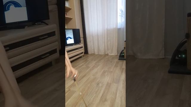 Кошка, с глазами, как новогодняя гирлянда, при сьемки с фонариком. смотреть онлайн