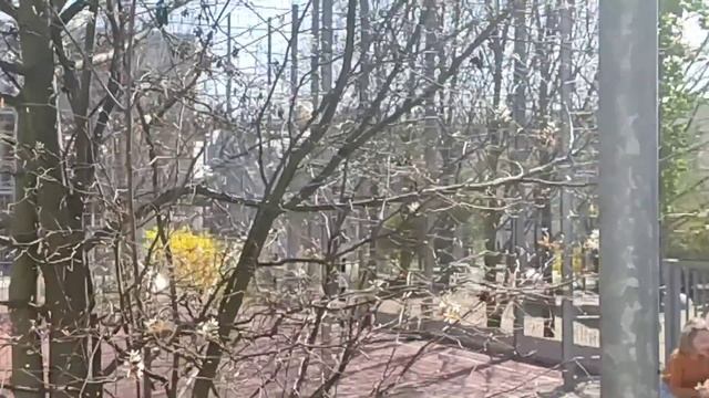 УКРАИНЦЫ в ГЕРМАНИИ смотреть онлайн