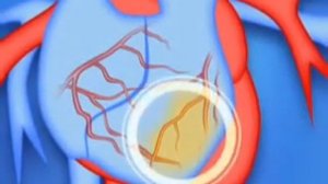 Чем полезен Коэнзим Q10