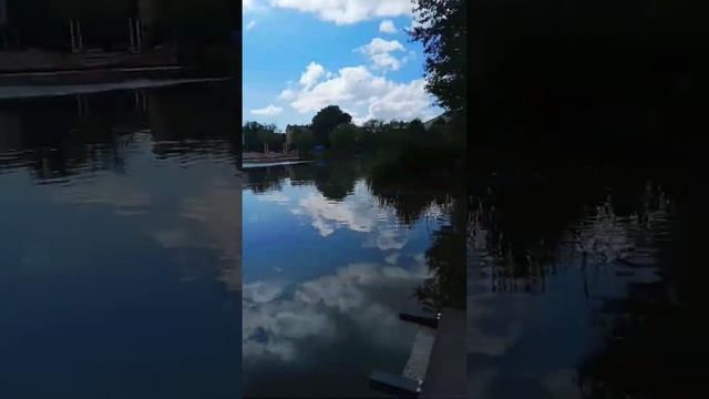 ♪♫*•♪Летнее озеро♪♫*•♪(Калининград)