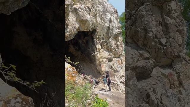 Презентация экскурсии на природе "Выжить вместе" смотреть онлайн