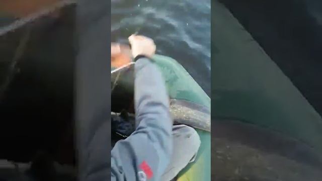 24 января 2021 г.