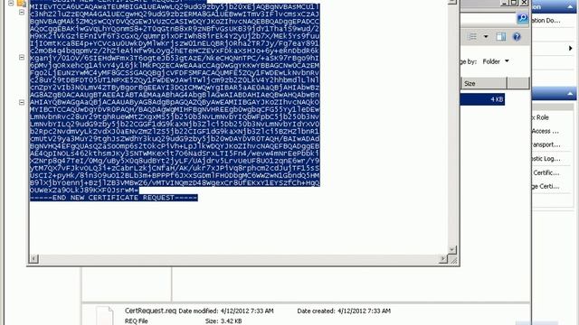 10165-Demo18-ConfiguringCertificateForCAS.avi смотреть онлайн