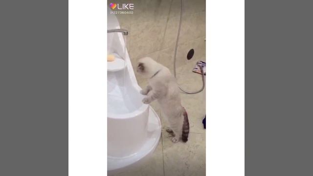 Я хочу пить смотреть онлайн