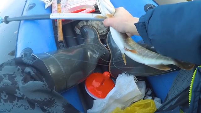 Осенняя рыбалка на жерлицы и спиннинг. смотреть онлайн